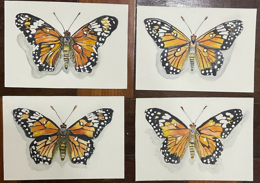 Aquarela de alunos da Andréa