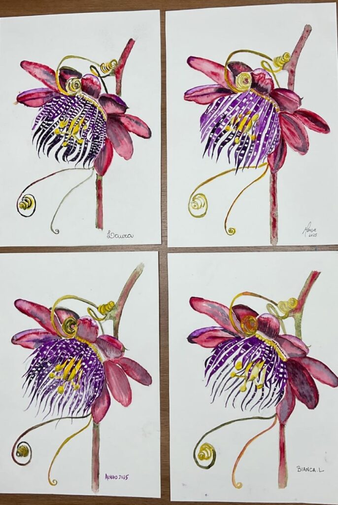 Aquarela de alunos da Andréa