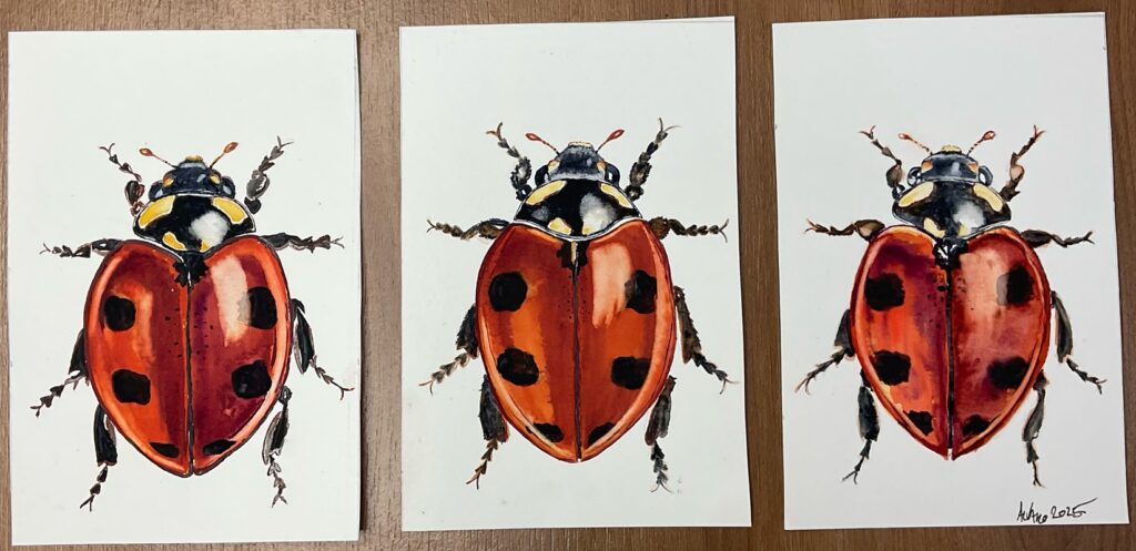 Aquarela de alunos da Andréa